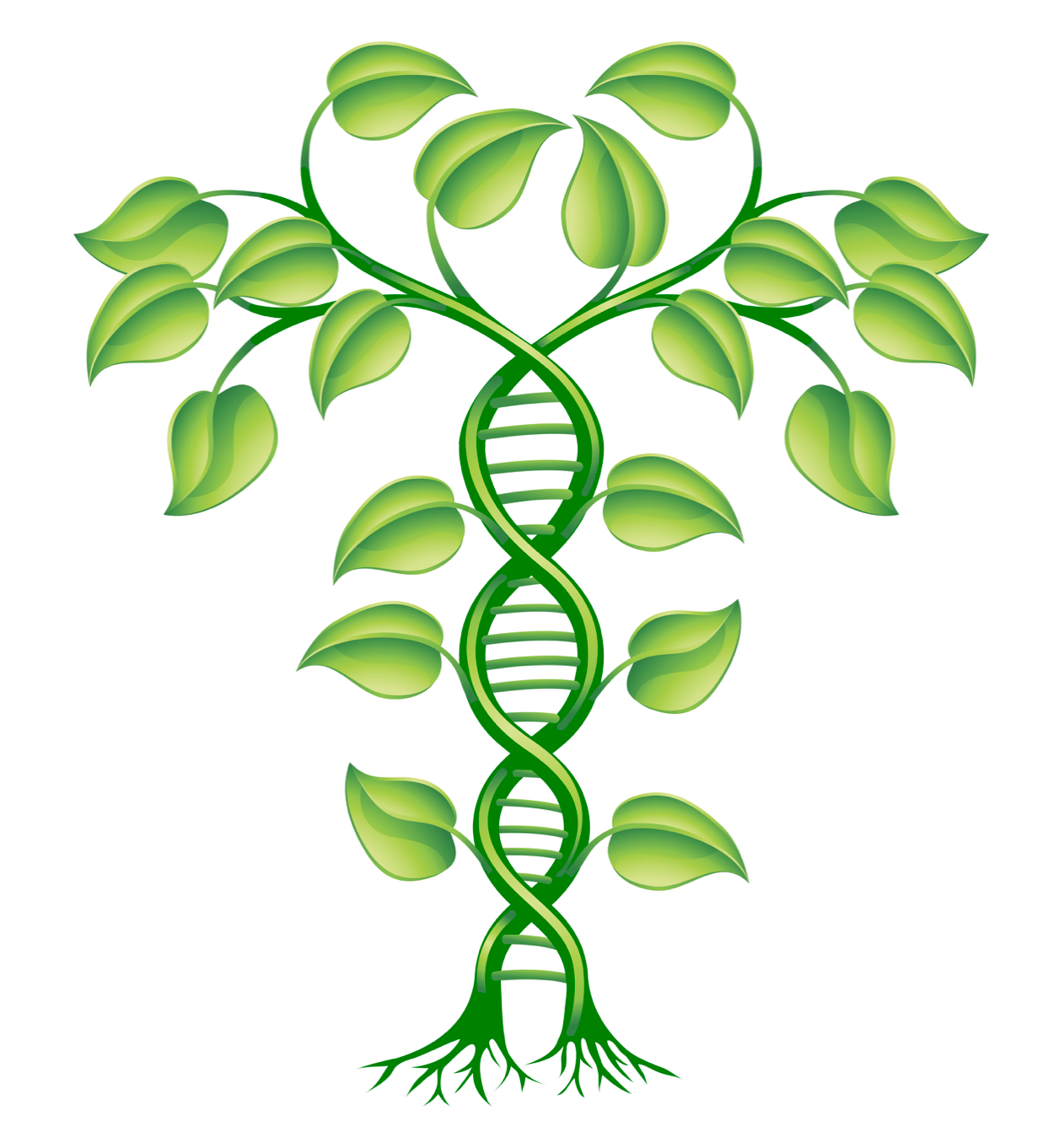 green DNA